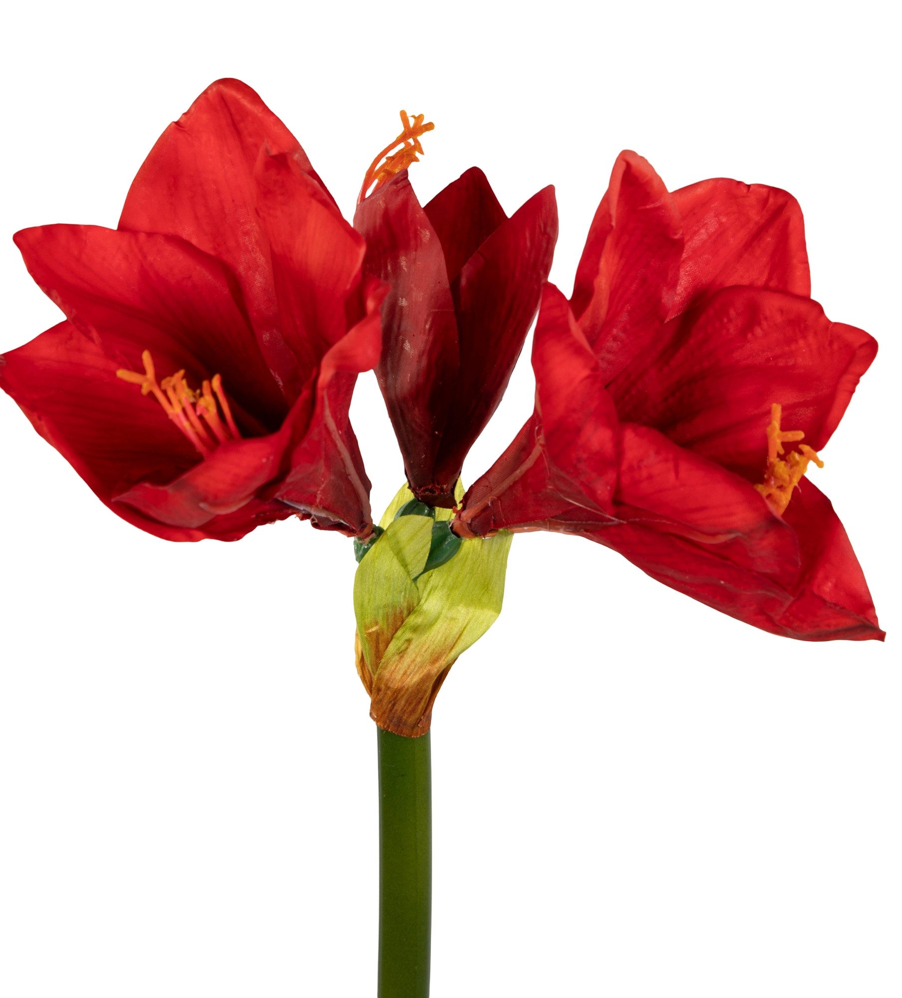 Kunstblume Amaryllis Real Touch 68cm GA Dekoblumen künstliche Blumen Ritterstern, Seidenblumen Roß, Höhe 68 cm, Farbe: Rot – Bild 3 von 4