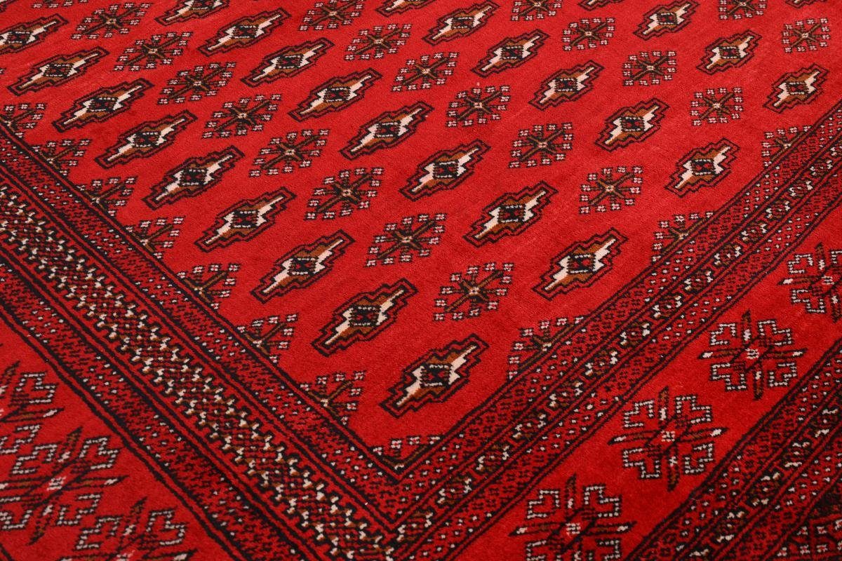 Orientteppich Turkaman 312x380 Handgeknüpfter Orientteppich / mm Trading, Höhe: rechteckig, 6 Nain Perserteppich