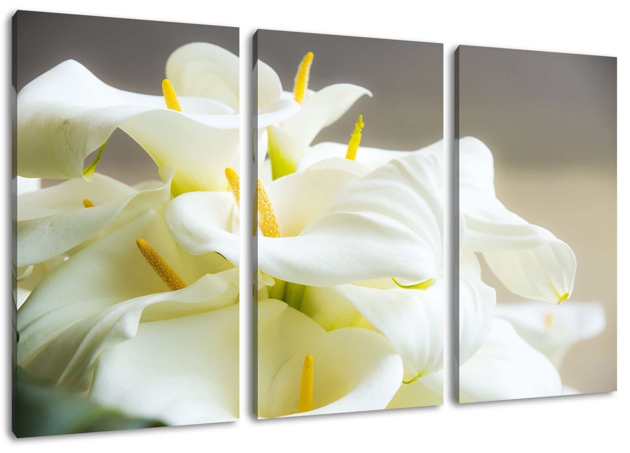 weiße Calla Lilien bespannt, fertig inkl. Calla 3Teiler Leinwandbild Zackenaufhänger (1 Lilien, St), Leinwandbild Wunderschöne weiße Wunderschöne Pixxprint (120x80cm)
