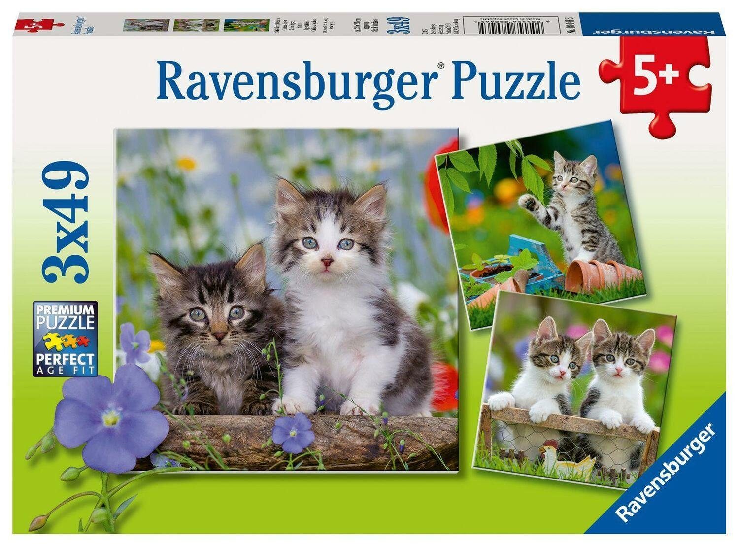 Ravensburger Puzzle Süße Samtpfötchen - Puzzle 3 x 49 Teile, 49 Puzzleteile