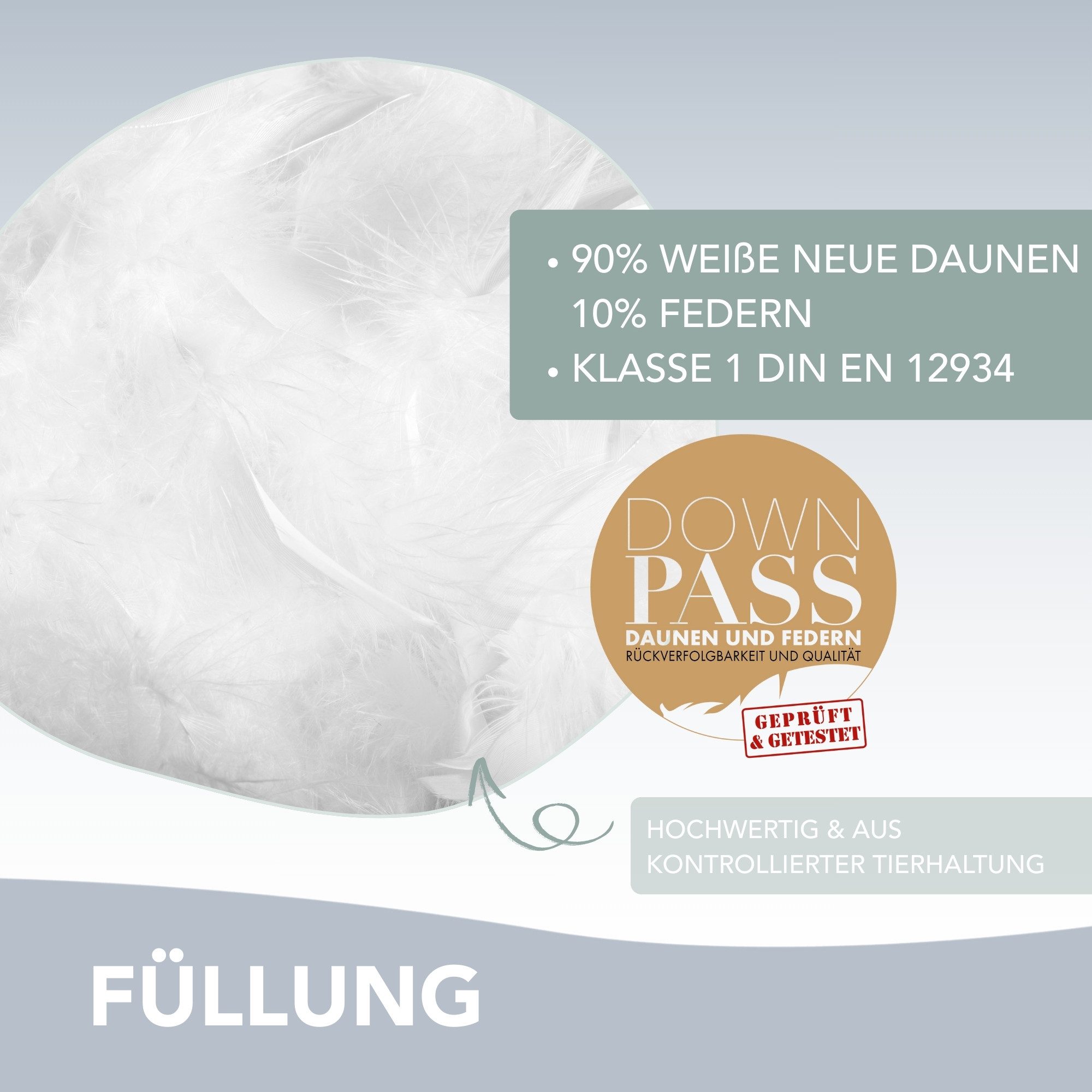 XDREAM Daunenbettdecke Nature Daunendecke, 135x200 cm und weitere Größen, Füllung: 90% Daunen, 10% Federn, Bezug: 100% Baumwolle, alle Wärmeklassen, Sommer oder Winter