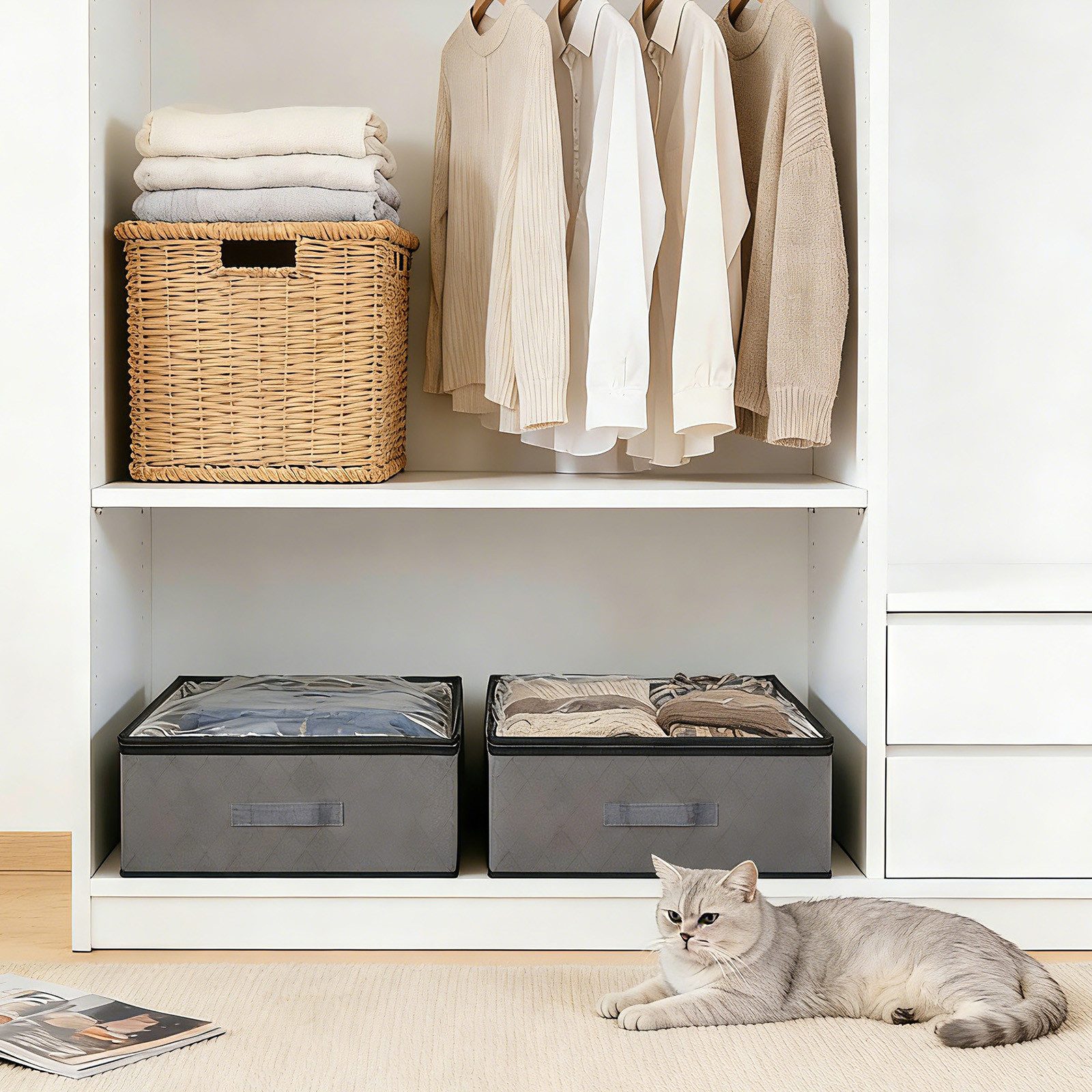 Sekey Unterbettkommode Unterbett Aufbewahrungsbox mit deckel transparente Aufbewahrungstasche, Aufbewahrungstasche Organizer für Kleiderschrank Aufbewahrung 90L x 4