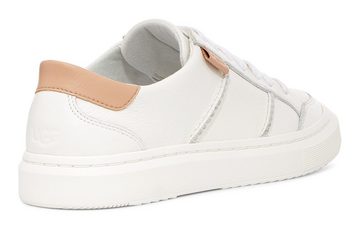 UGG ALAMEDA LACE Sneaker, Freizeitschuh, Halbschuh, Schnürschuh