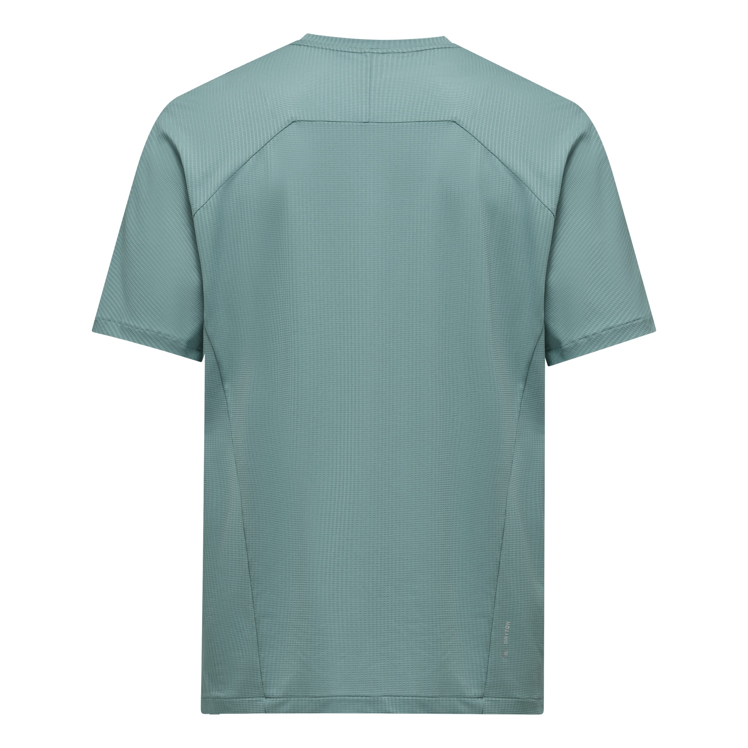 Salewa Kurzarmshirt PEDROC DRY LIGHT T-SHIRT M WILLOW