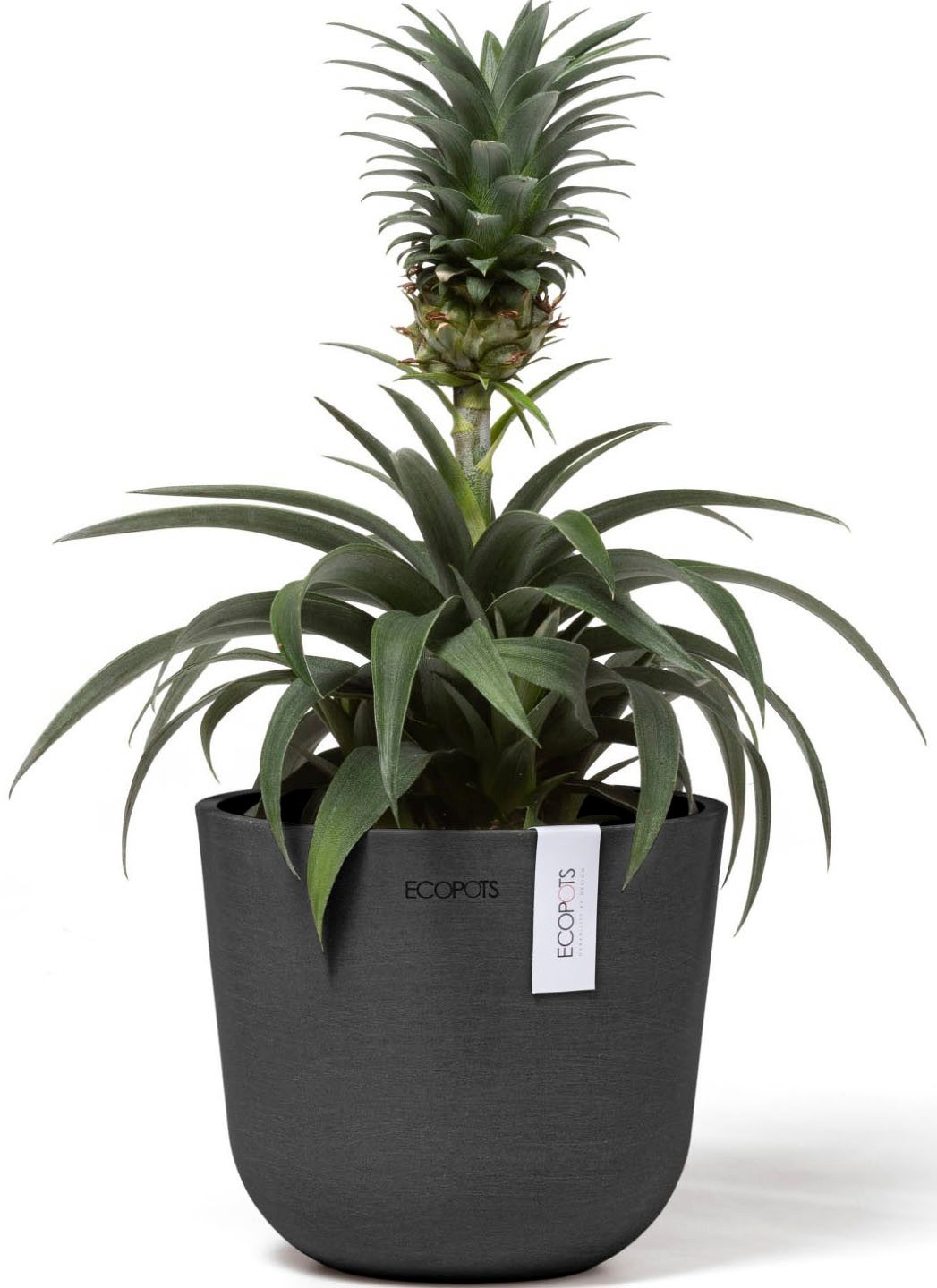 ECOPOTS Blumentopf Oslo Mini 16 Dunkelgrau, für den Innenbereich günstig online kaufen