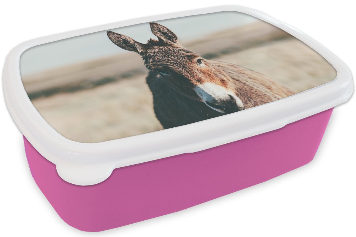 MuchoWow Lunchbox Porträt Erwachsene, (2-tlg), Brotdose - Snackbox, Mädchen, - Tier, Kunststoff, Esel für Kunststoff rosa Brotbox Kinder