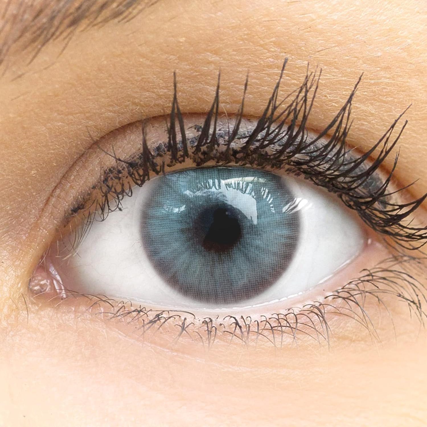 GLAMLENS Monatslinsen Sehr stark deckende und natürliche graue Linsen "Limone Ice Gray"
