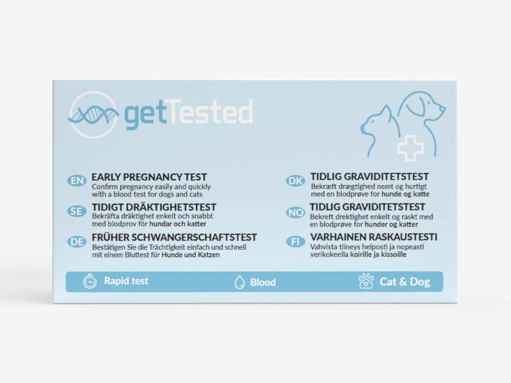 GetTested International AB Unverträglichkeitstest Frühe Trächtigkeit Hund/Katze – Bluttest, 1 Messparameter, Testkit, 1-tlg., Trächtigkeitstest für Hunde und Katzen, Früher Trächtigkeitstest für Hund & Katze