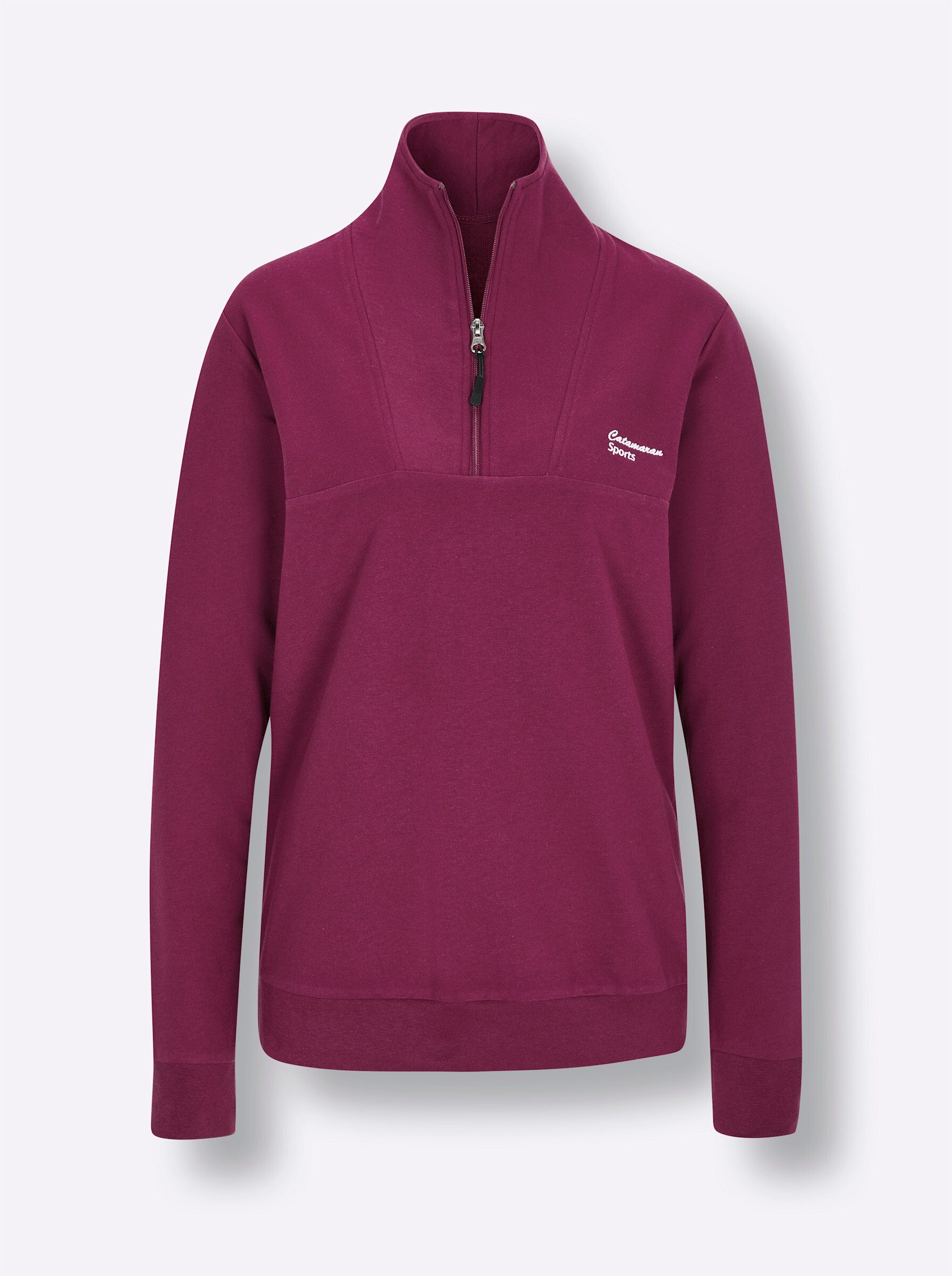 Witt Sweater Sweatshirt Langarm