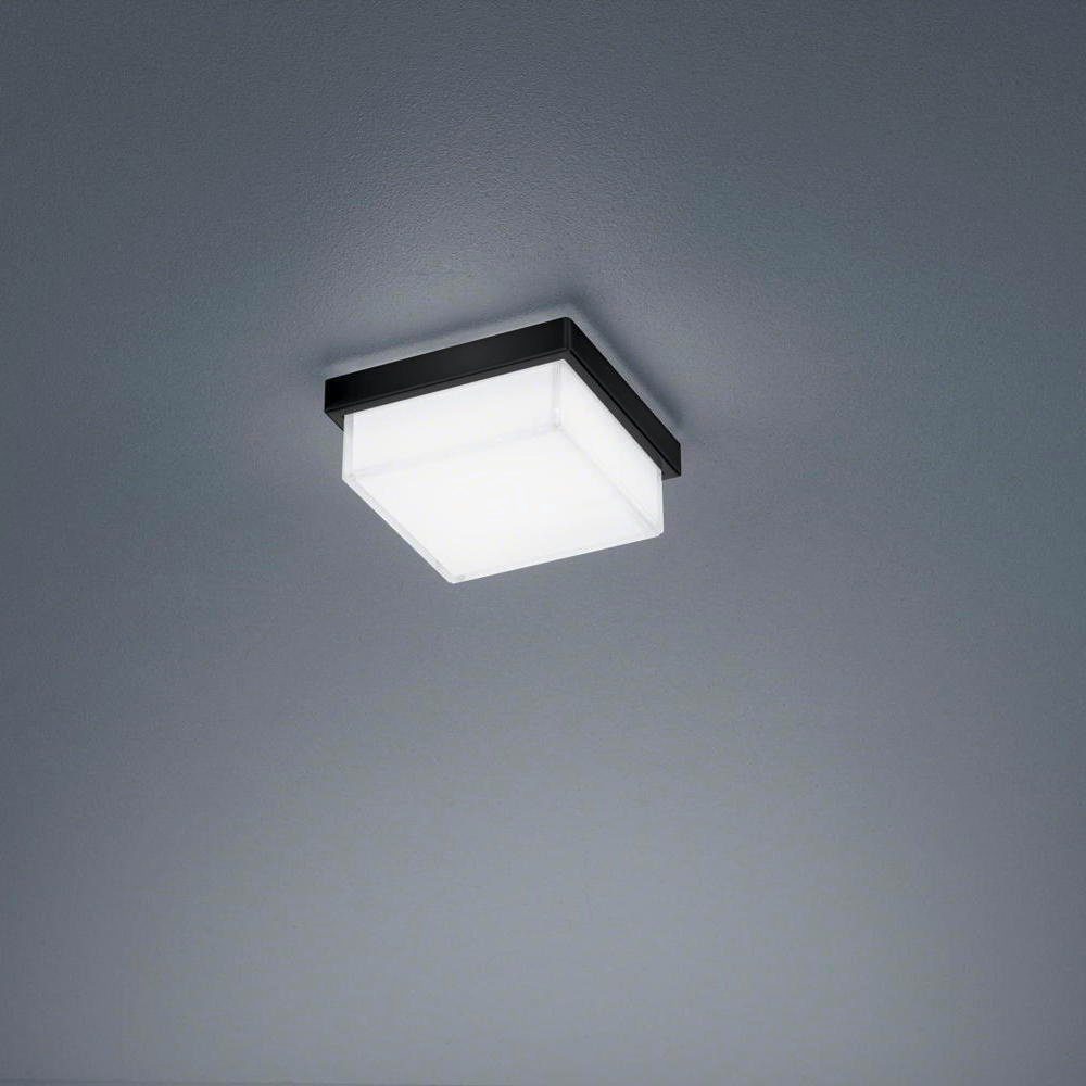 click-licht LED Deckenleuchte LED Deckenleuchte Cosi in Schwarz-matt 7W  610lm, keine Angabe, Leuchtmittel enthalten: Ja, fest verbaut, LED,  warmweiss, Deckenlampe, Deckenbeleuchtung, Deckenlicht