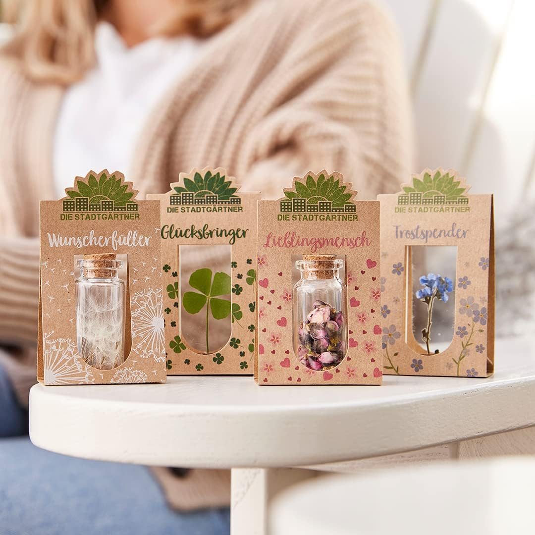 Trockenblume Natürliche Geschenke für alle Gefühle: günstig online kaufen