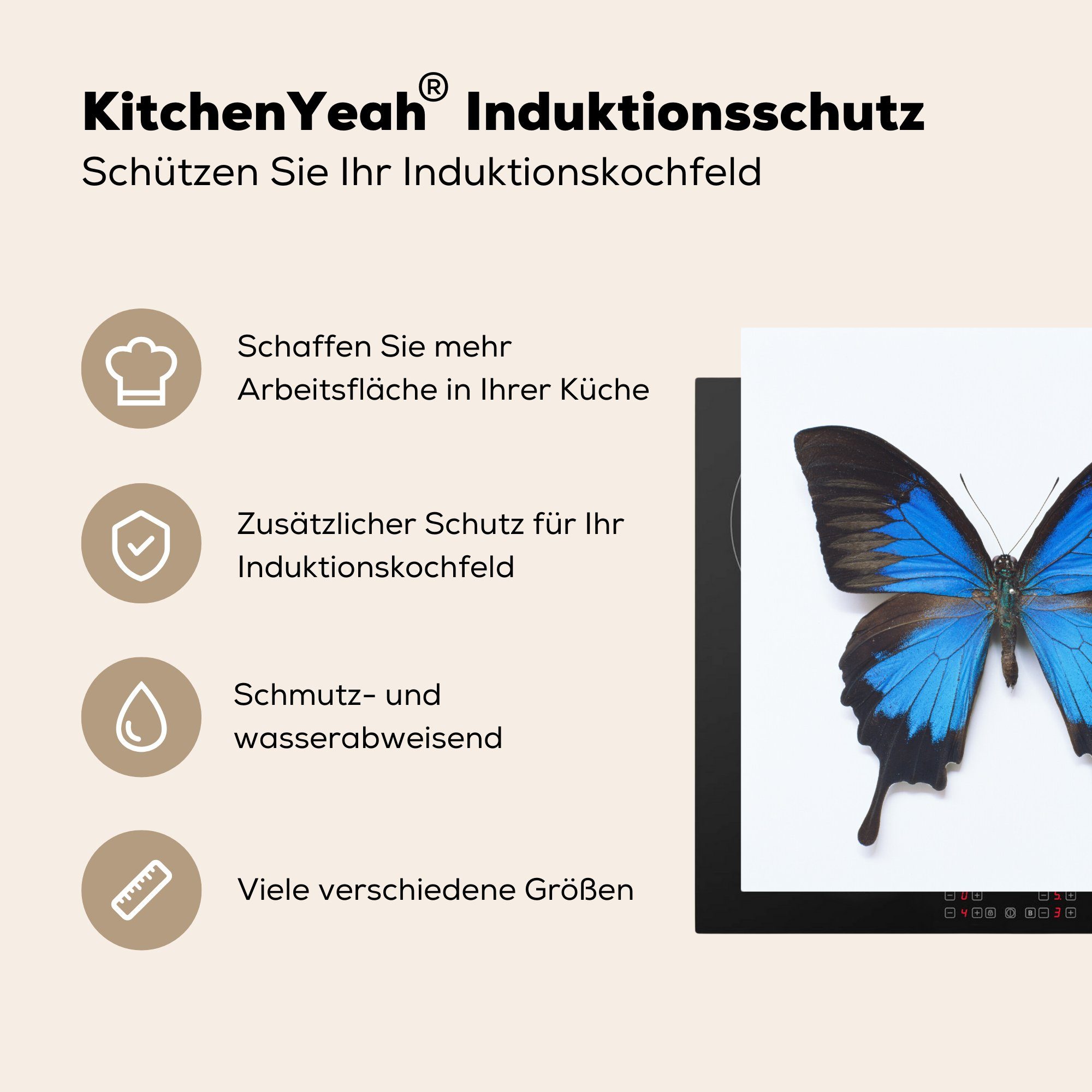 Vinyl, tlg), cm, Herdblende-/Abdeckplatte küche für Arbeitsplatte - Ceranfeldabdeckung, Schmetterling Blau, (1 Insekten MuchoWow 78x78 -