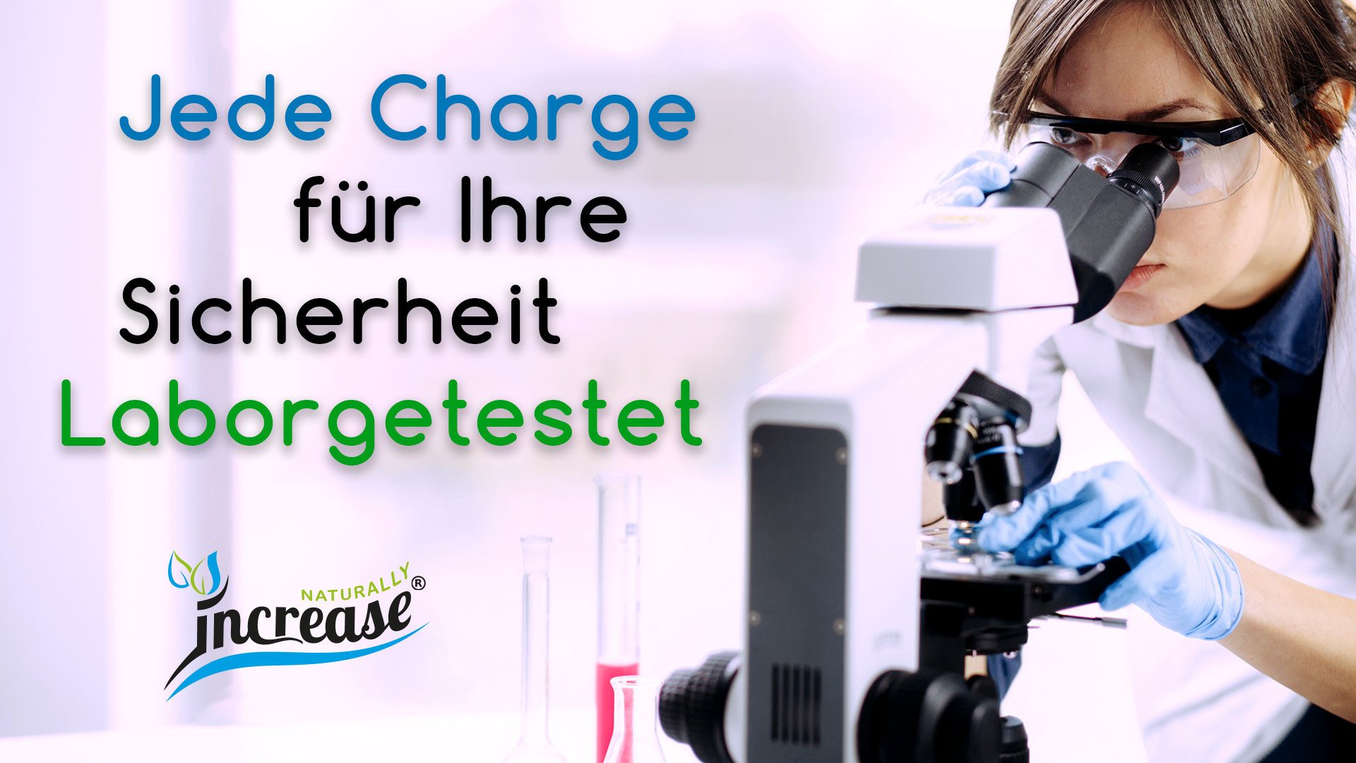 increase NATURALLY Liposomaler Roter Panax Ginseng - 2000mg pro Tag Tropfen, 60 ml