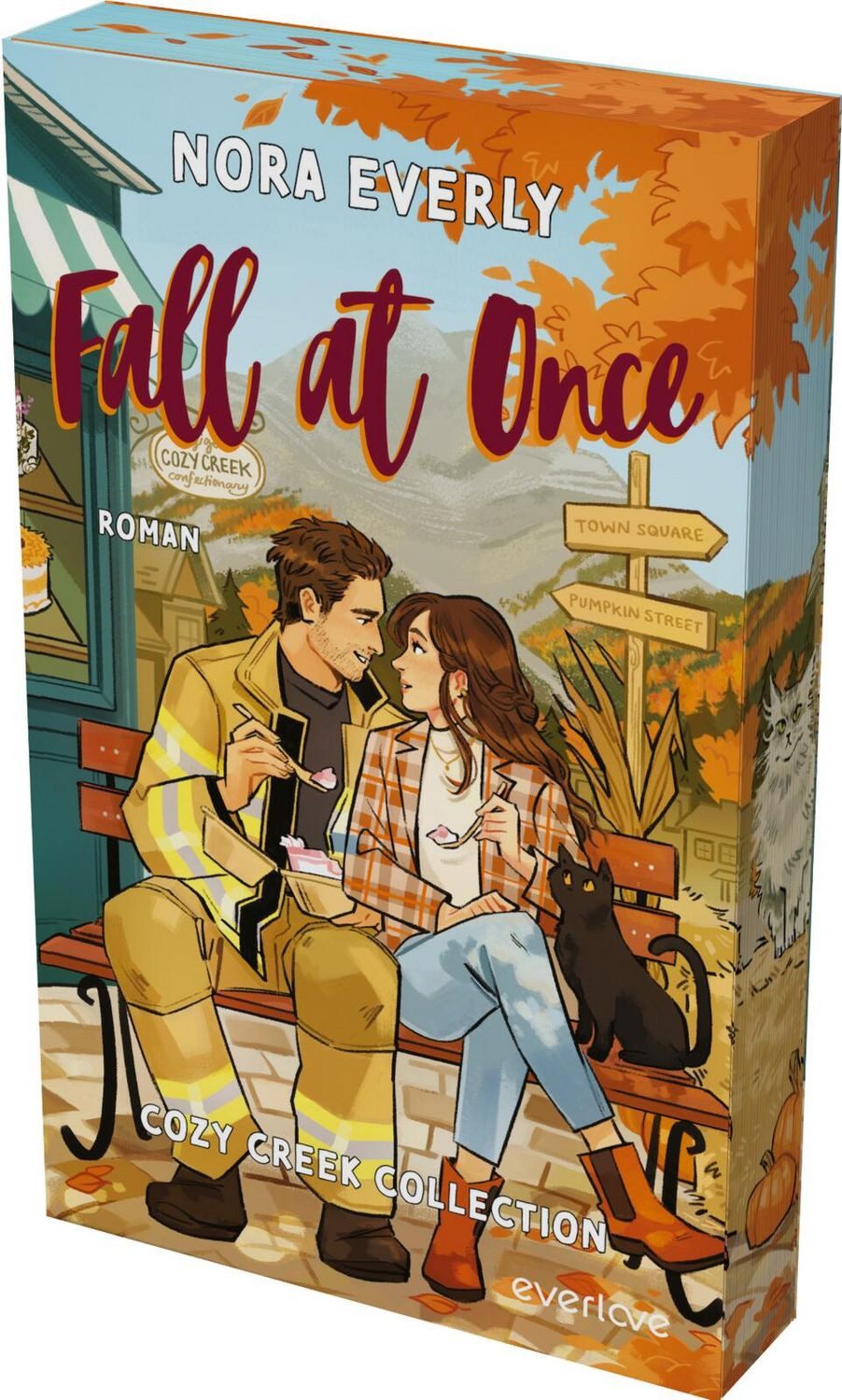 Fall at Once Roman / Nora Everly