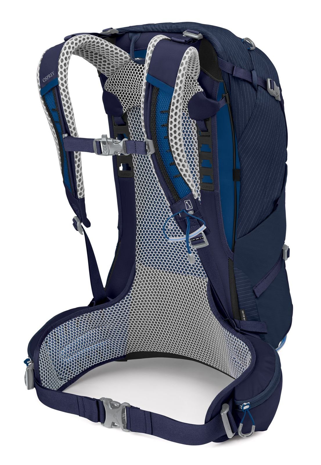 Blue Cetacean Rucksack Osprey