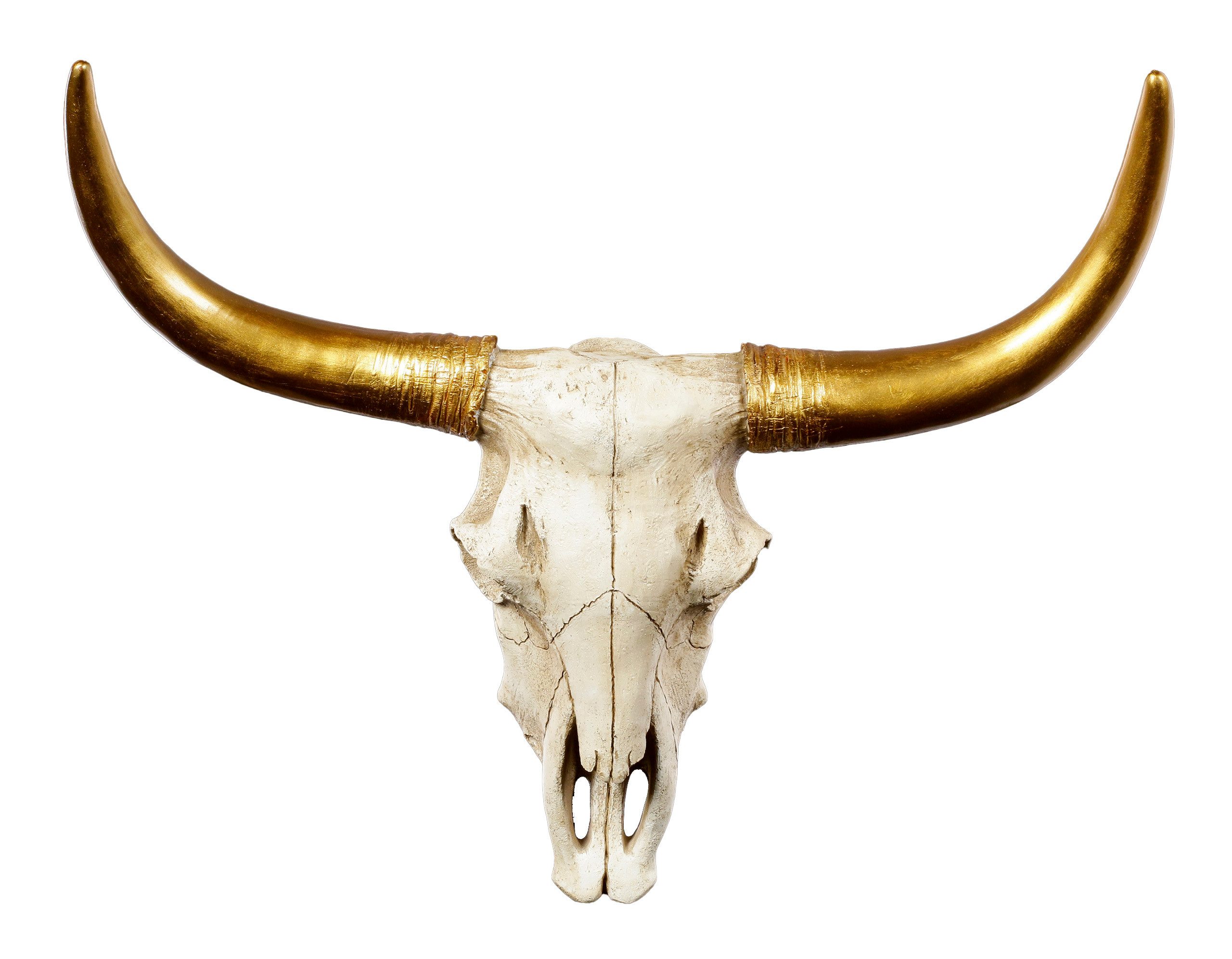 Figuren Shop GmbH Wanddekoobjekt Wandrelief Büffel Schädel - Goldene Hörner günstig online kaufen