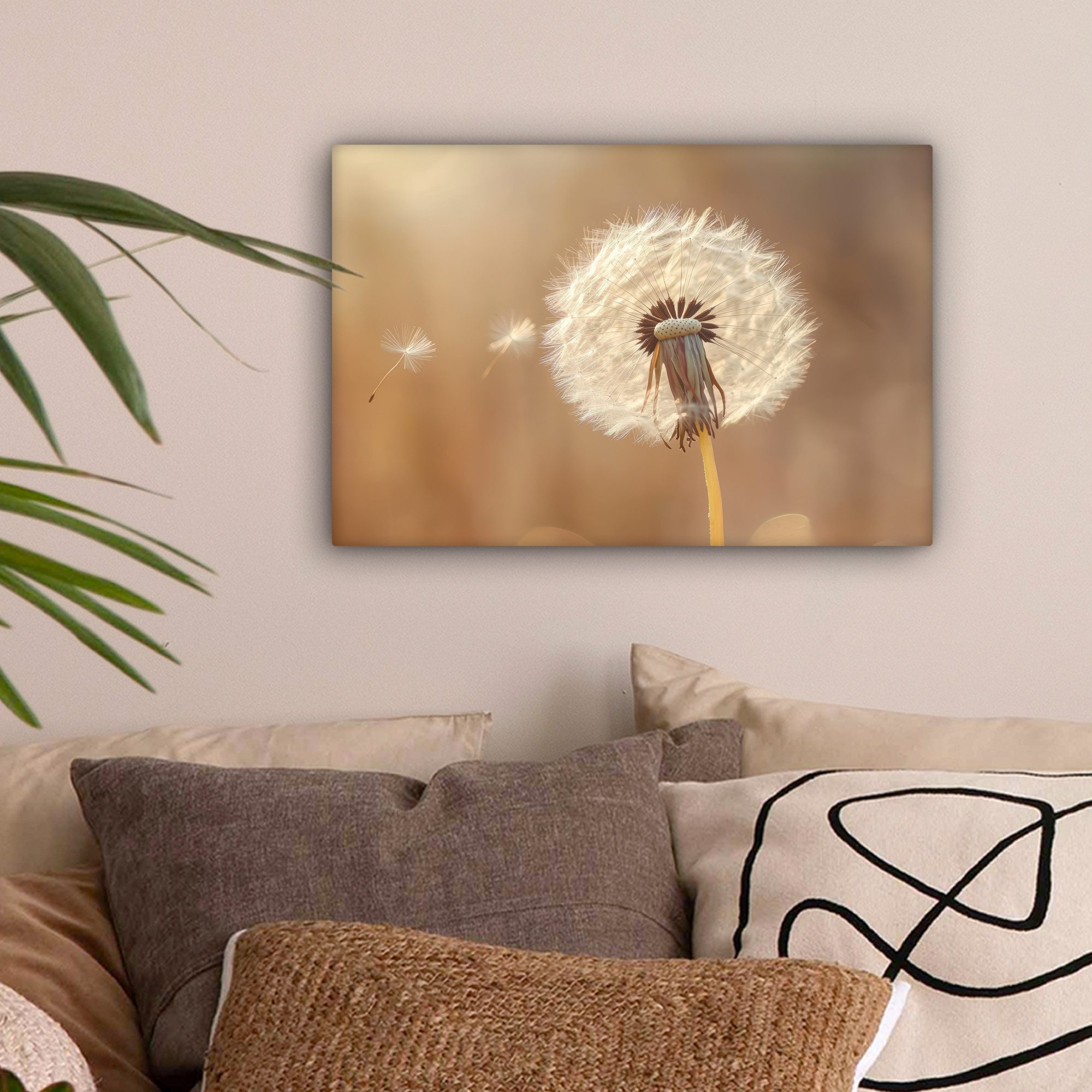OneMillionCanvasses® Leinwandbild Löwenzahn - Beige - Natur - Blume, Fotodr günstig online kaufen