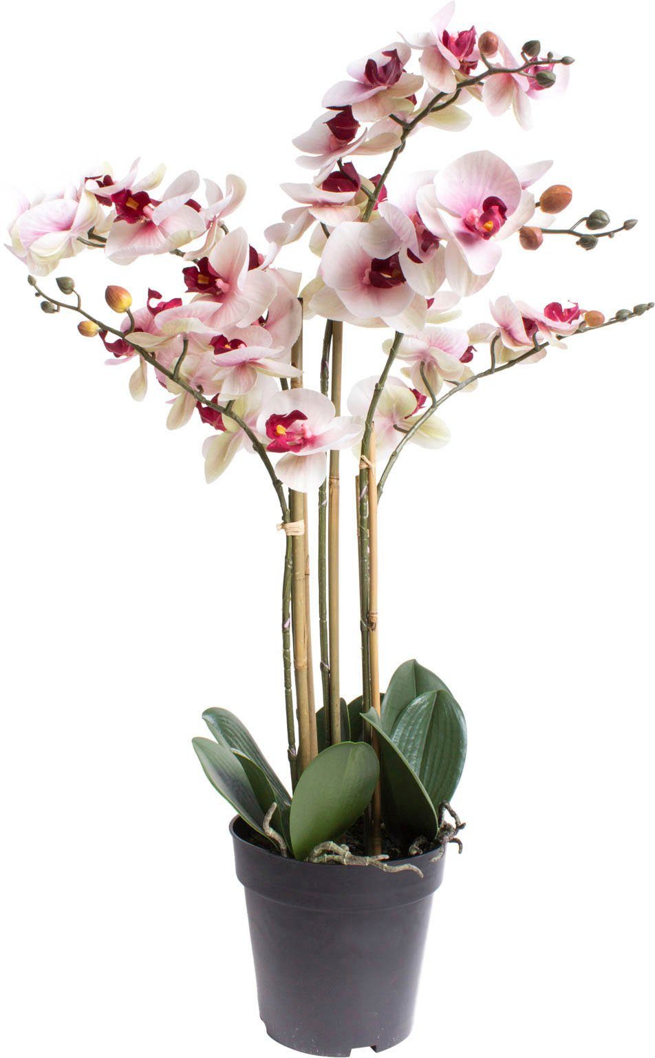 [Sieht elegant aus] Kunstorchidee Orchidee Botanic-Haus, Höhe Bora Orchidee, 60 cm