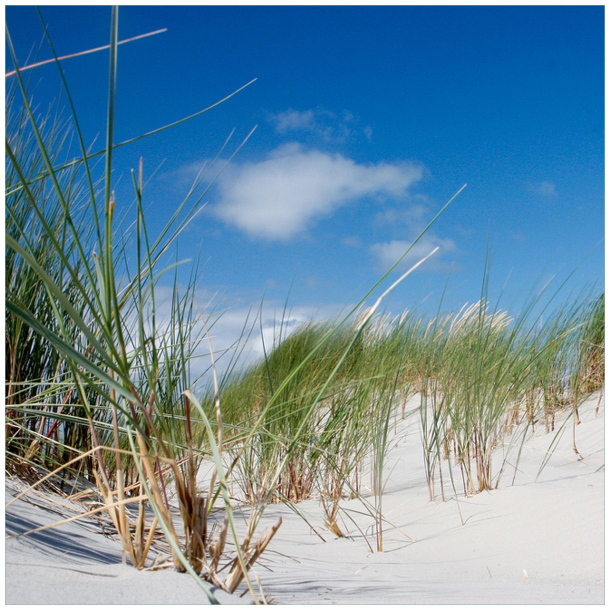 Wallario Tischplatte Düne am Strand unter blauem Himmel (1 St), für Ikea Lack Tisch geeignet