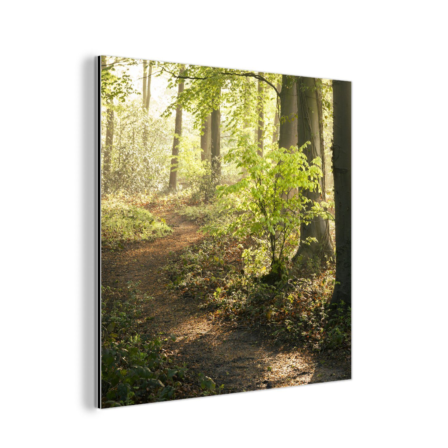 MuchoWow Metallbild Wald - Bäume - Weg - Sonne - Pflanzen - Laub - Natur, (1 St), Alu-Dibond-Druck, Gemälde aus Metall, Aluminium deko