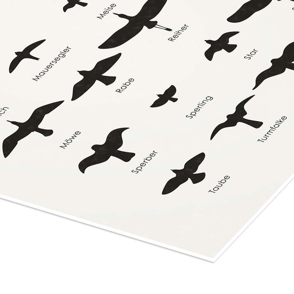 Posterlounge Wandbild Heimische Vögel im Flug, Iris Luckhaus, erhältlich als Poster, Leinwandbild, Wandsticker oder Acrylglasbild