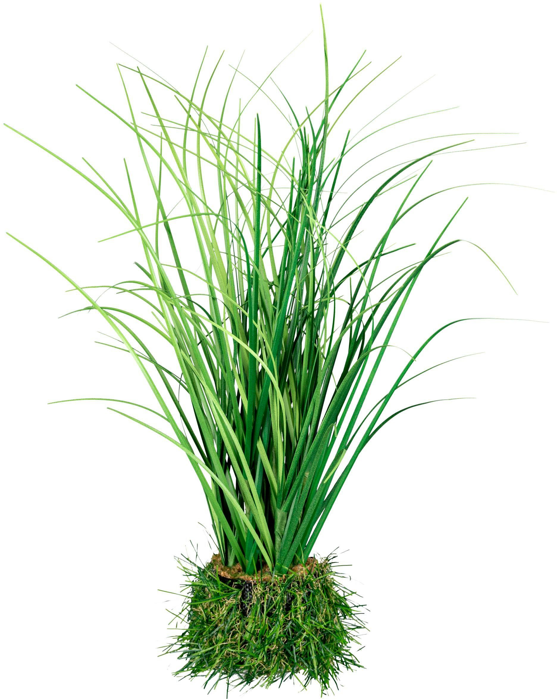 Kunstgras Grasbusch Gras, Creativ green, Höhe günstig online kaufen