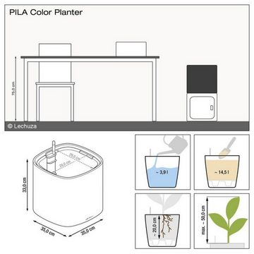 Lechuza® Pflanzkübel Pflanztopf Pila Color Planter schiefergrau (Komplettset)