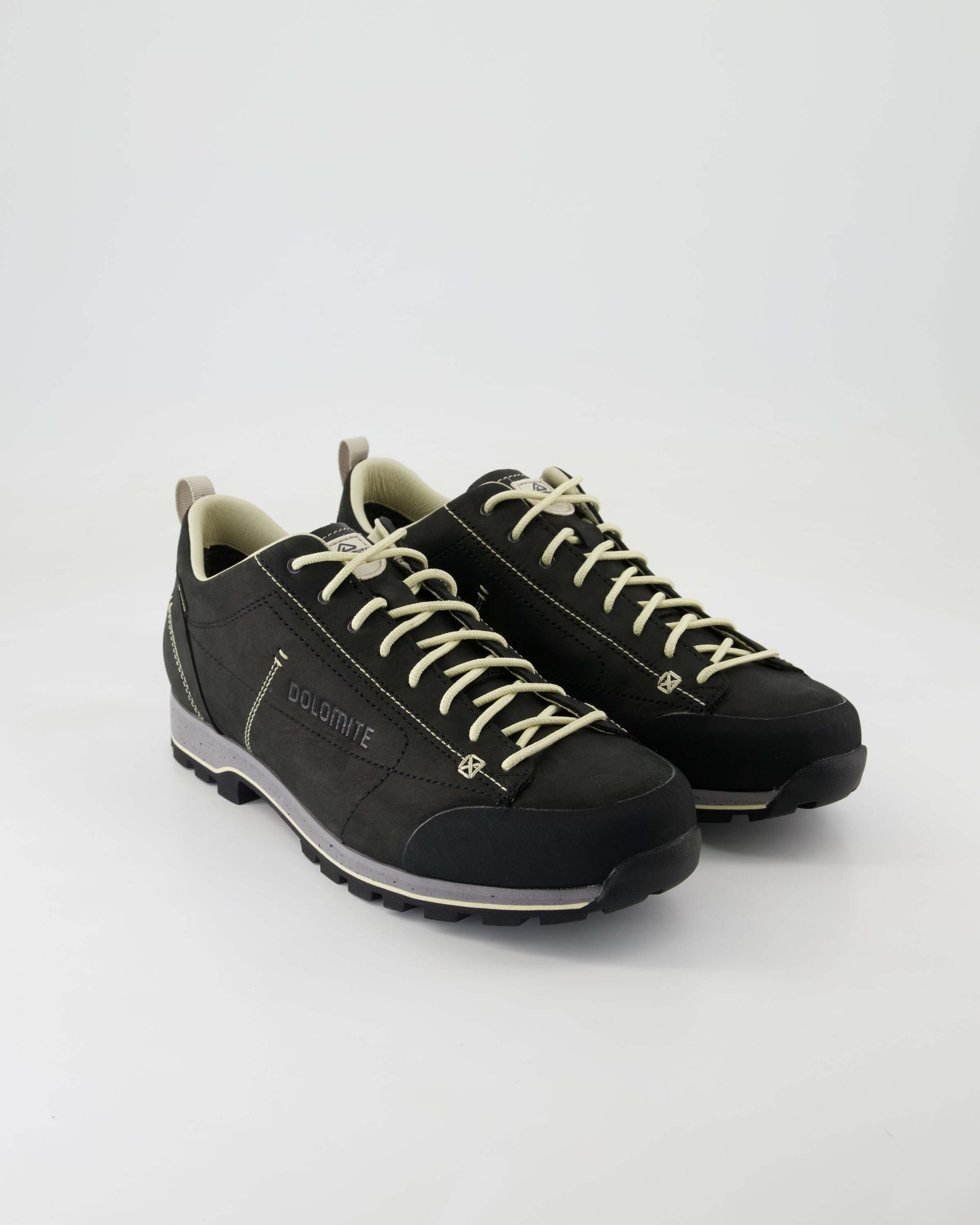 Dolomite Low Fg Evo GTX Wanderschuh Obermaterial: Leder