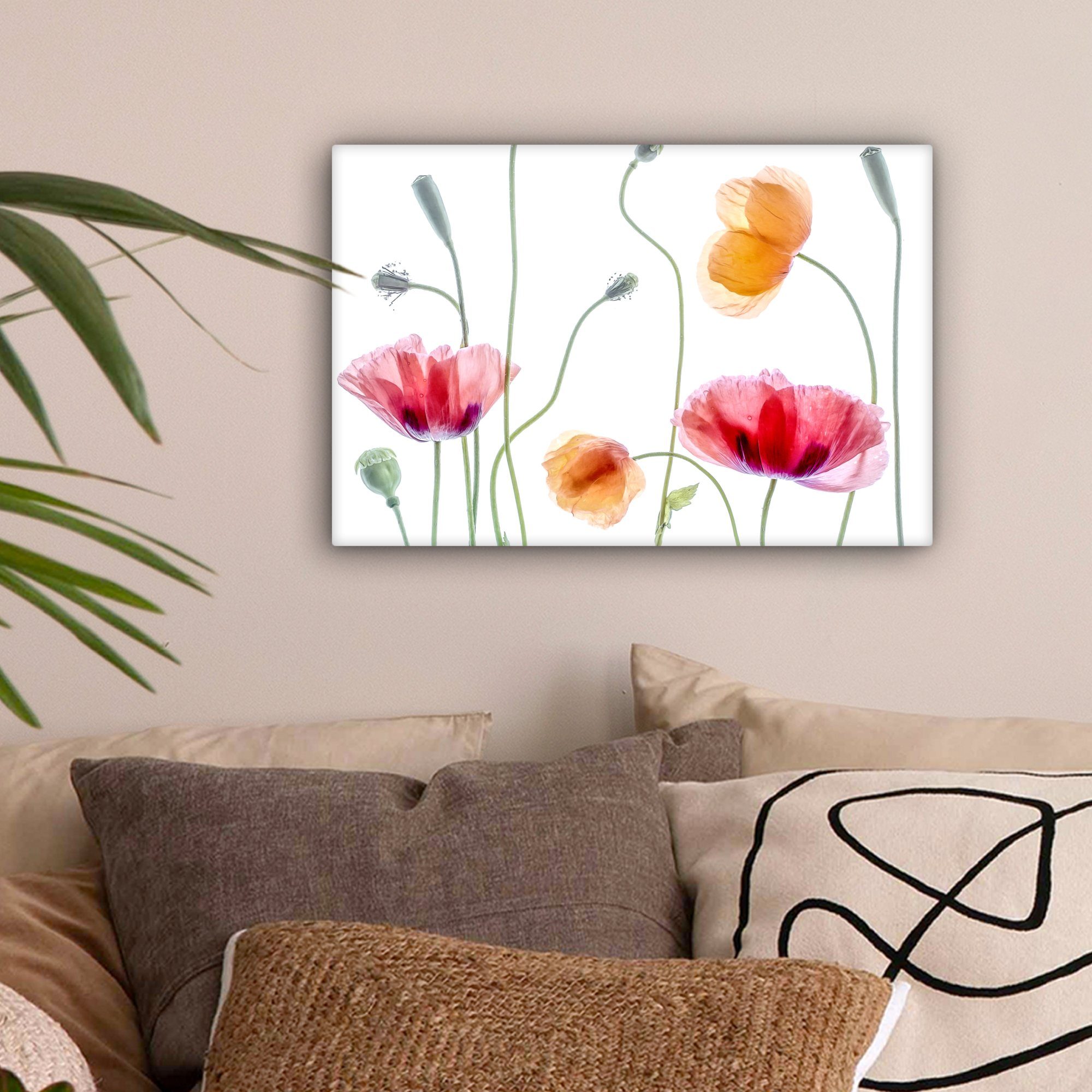 OneMillionCanvasses® Leinwandbild Mohn - Blumen - Frühling - Weiß, Fotodruc günstig online kaufen