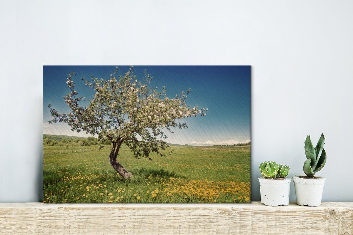 OneMillionCanvasses® Leinwandbild Apfelbaum - (1 30x20 Blumen, Frühling - St), Aufhängefertig, Wandbild Leinwandbilder, cm Wanddeko