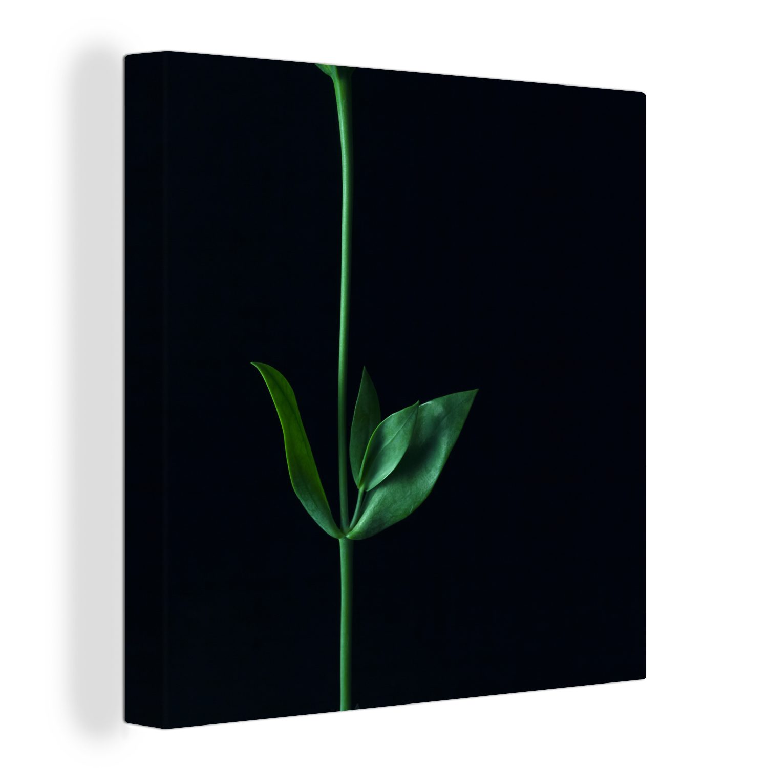 Schlafzimmer Bilder (1 für Blättern Wohnzimmer auf schwarzem St), grüner Ein Stiel zwei Leinwand Leinwandbild OneMillionCanvasses® Hintergrund, mit