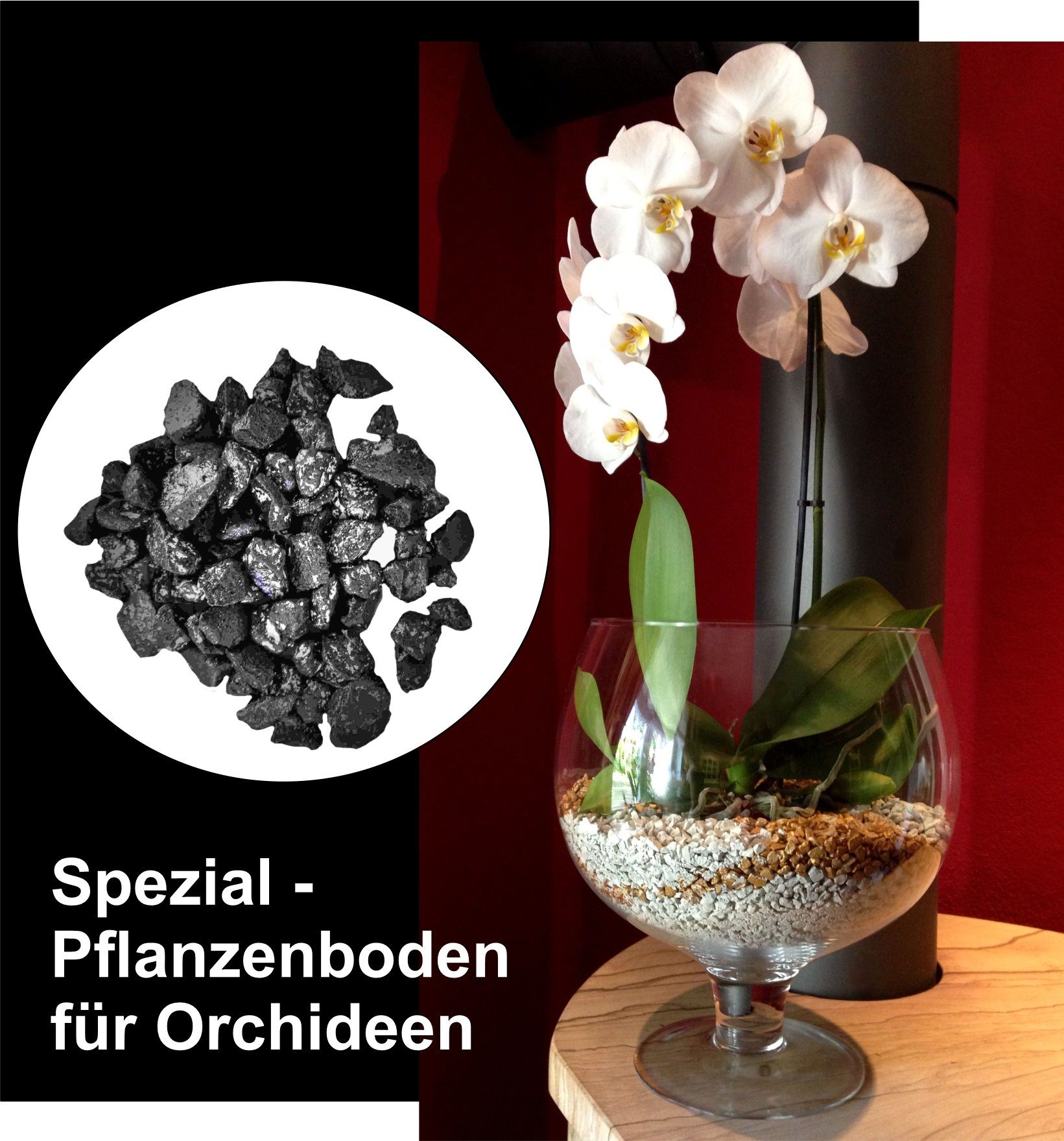 colomi Pflanzgranulat Spezial Pflanzboden für Orchideen - patentiert schwarz, 1 Liter
