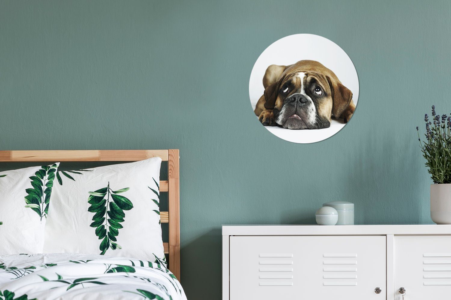 St), Kreis Weiß, 30x30 Forex, Rundes - MuchoWow Hund Wandbild, - Gemälde Wohnzimmer, Haustiere Wanddekoration cm (1