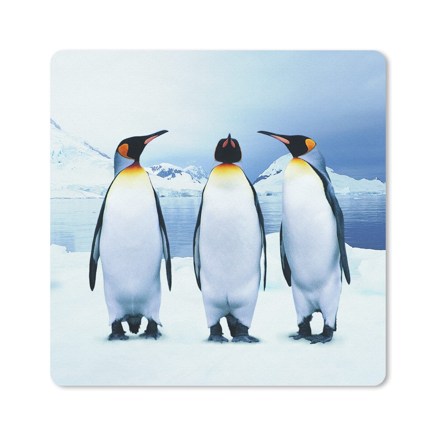 MuchoWow Mauspad Drei Pinguine Porträt (1-St), Mousepad, Schreibtisch Zubehör, Deko, 20x20 cm