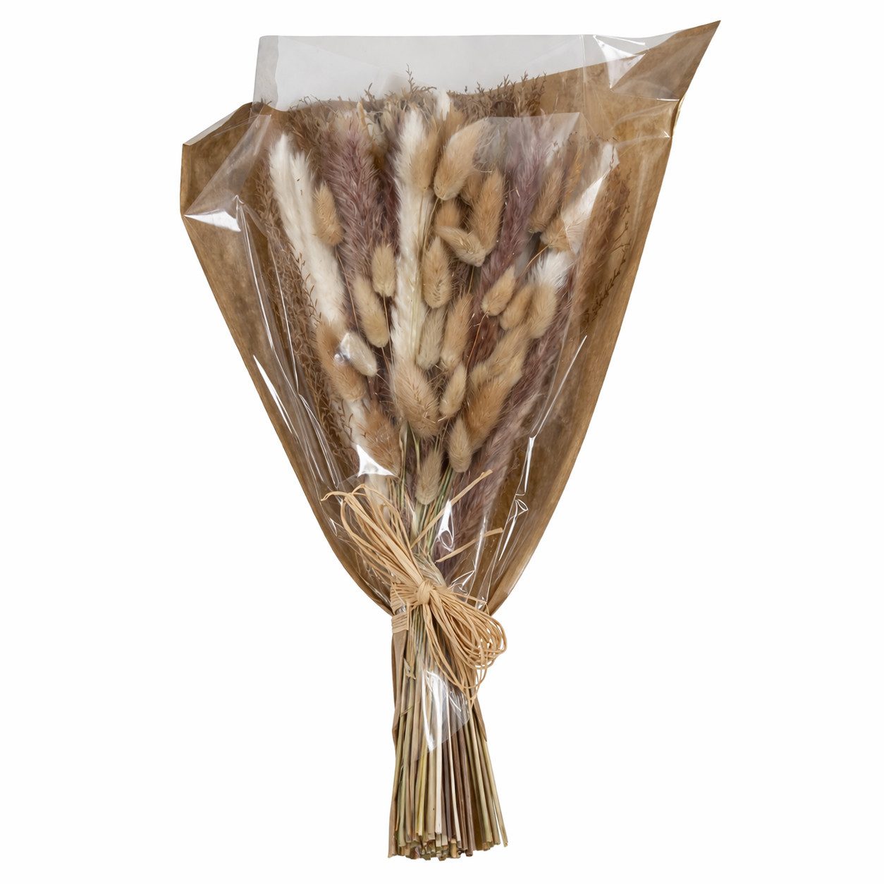 Trockenblume Trockengräser Strauss Deko Gräser getrocknet in Naturfarben, XiRRiX, Höhe 45 cm, Gräser Deko, Trockenblumenstrauss