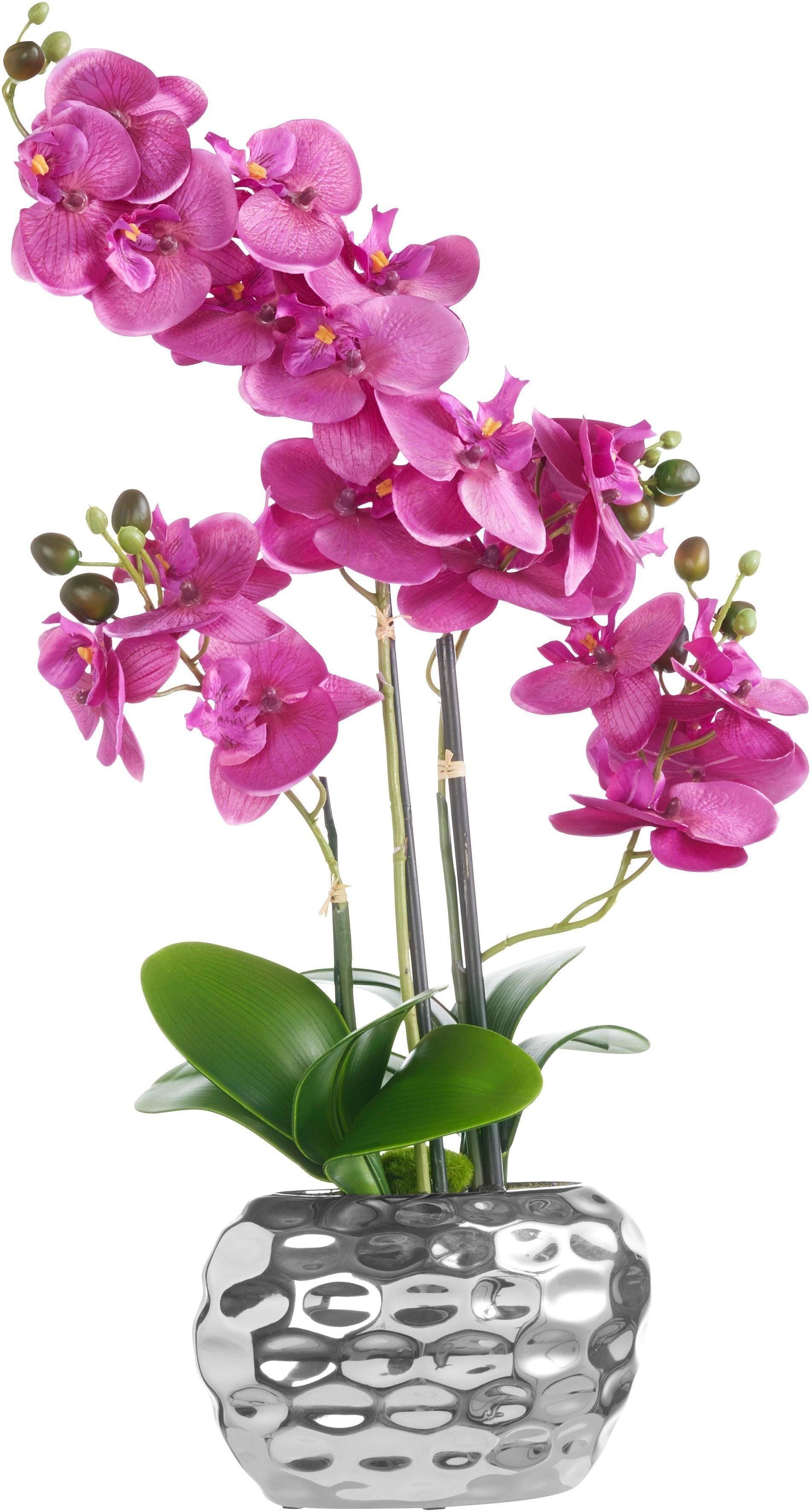 Creativ Kunstpflanze Orchidee Orchidee, 55 Höhe green, lila cm