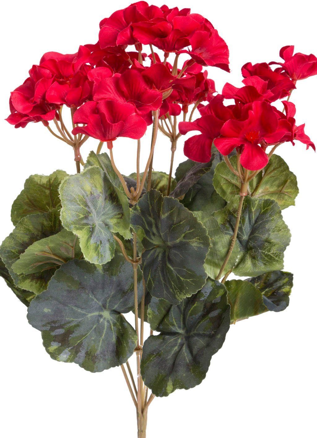 Kunstblume Geranienbusch Geranie, Botanic-Haus, Höhe 37 günstig online kaufen
