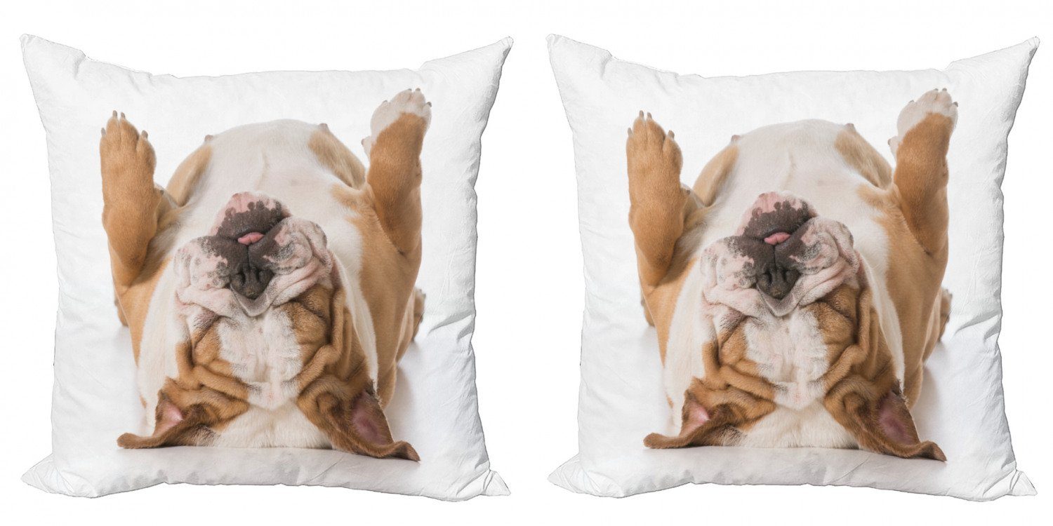 Kissenbezüge Modern Accent Doppelseitiger Digitaldruck, Abakuhaus (2 Stück), Bulldogge Tier legen sich auf den Rücken