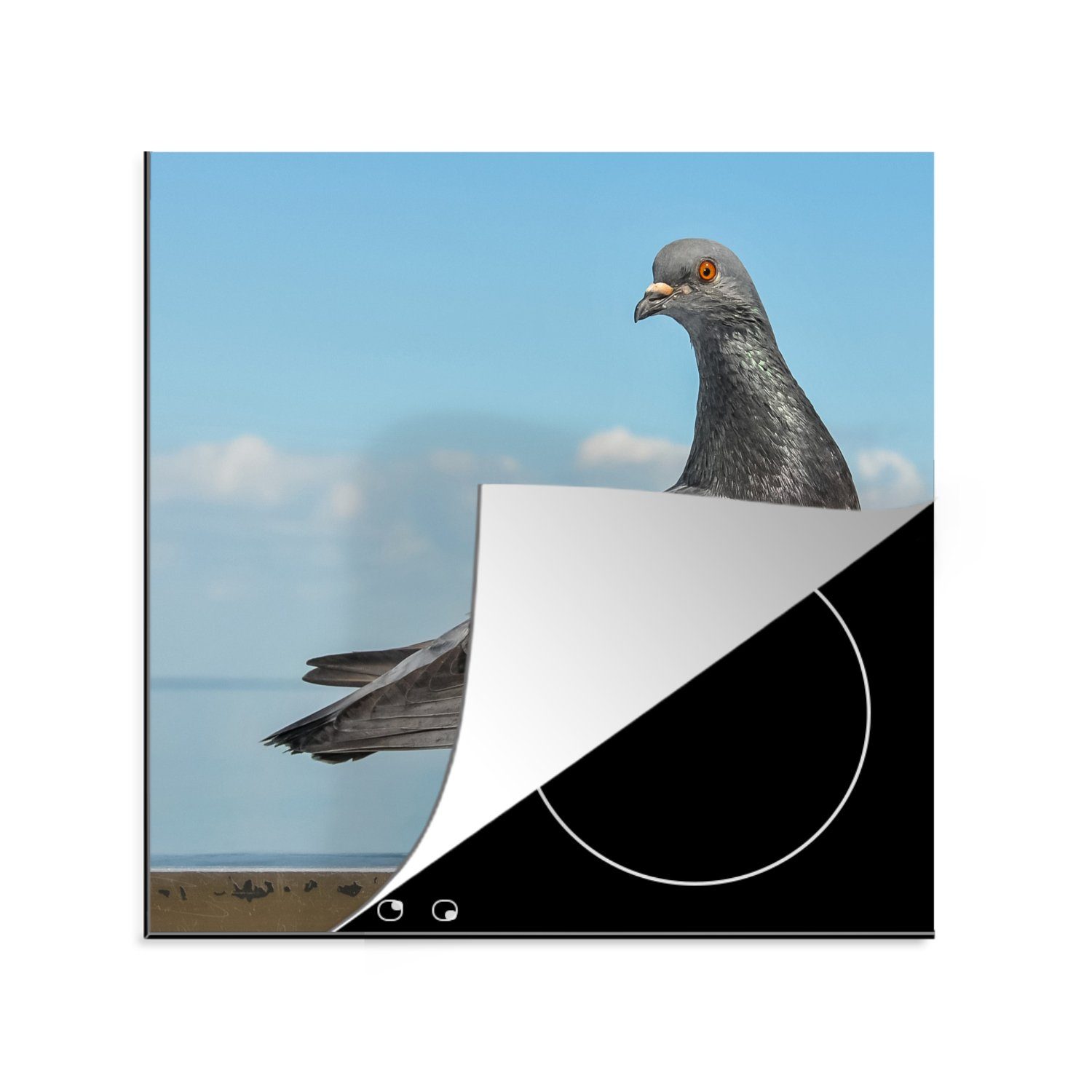 MuchoWow Herdblende-/Abdeckplatte Eine schöne Taube sitzt auf einer Mauer am Meer, Vinyl, (1 tlg), 78x78 cm, Ceranfeldabdeckung, Arbeitsplatte für küche