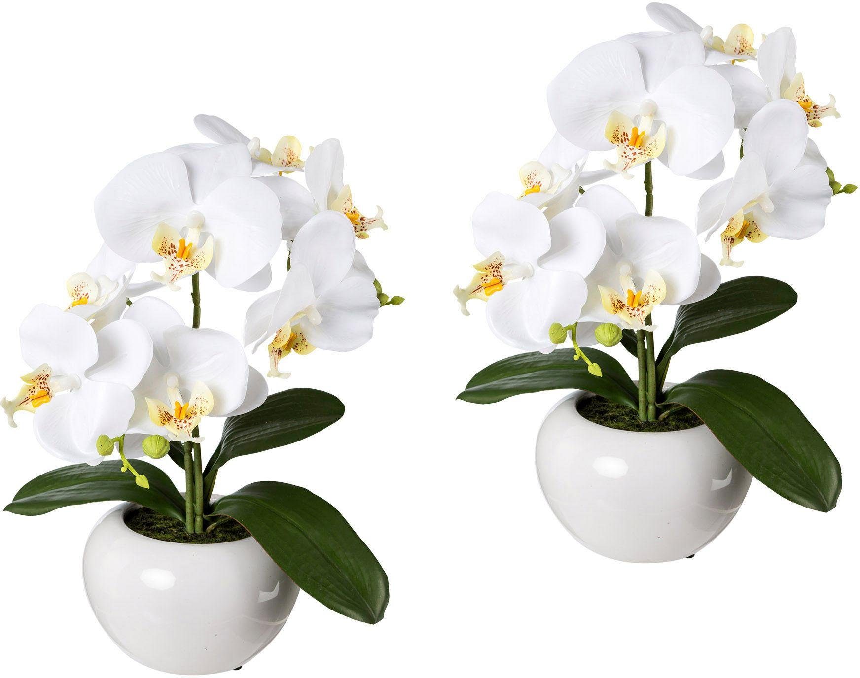 Kunstpflanze Orchidee, Creativ green, Höhe 35 cm, 2er Set
