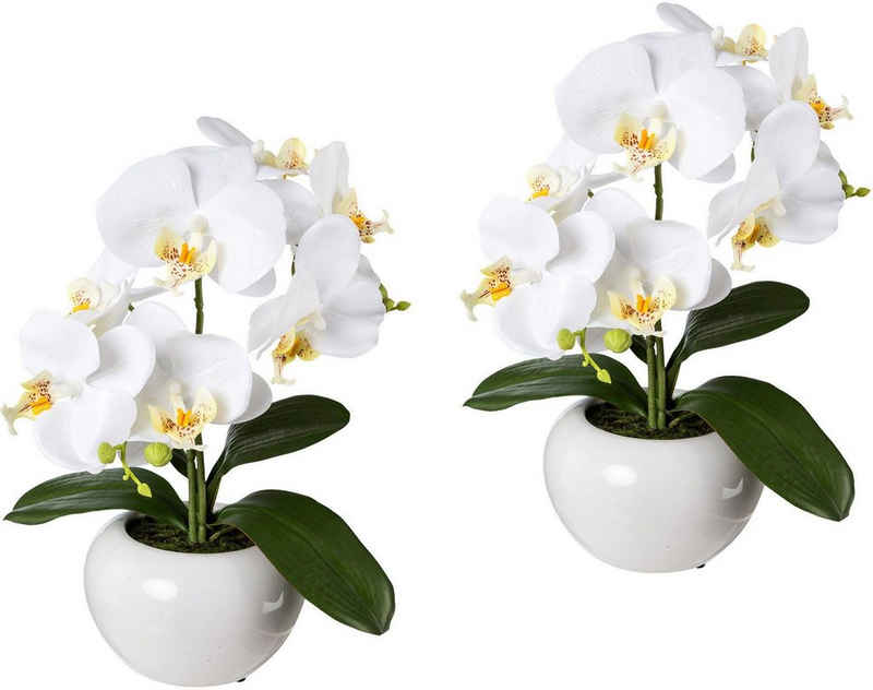 Weiße Kunstpflanzen online kaufen | OTTO