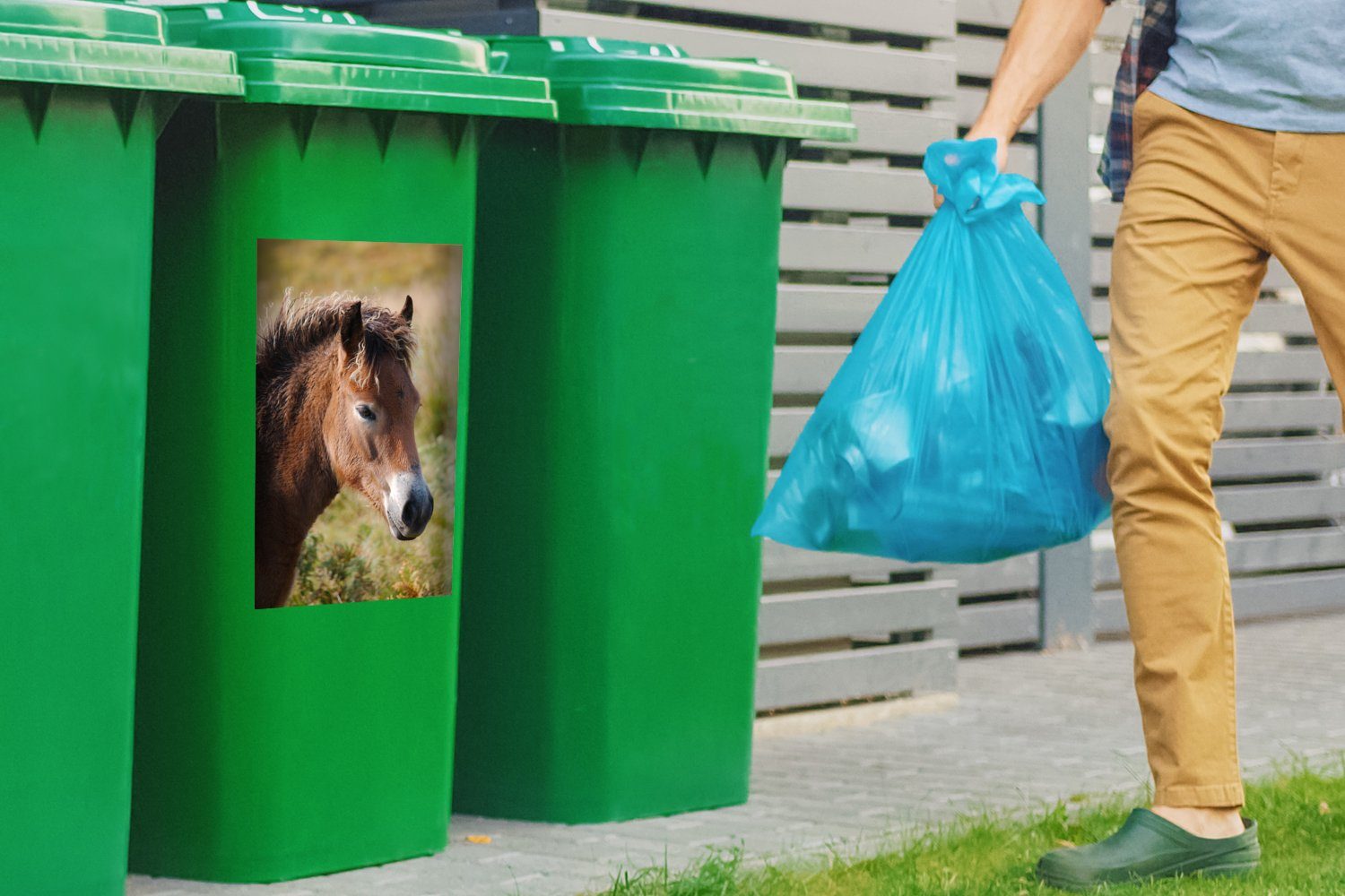 Porträt Pferd (1 - Sticker, Container, Wandsticker - Pony MuchoWow Mülltonne, Abfalbehälter St), Mülleimer-aufkleber,