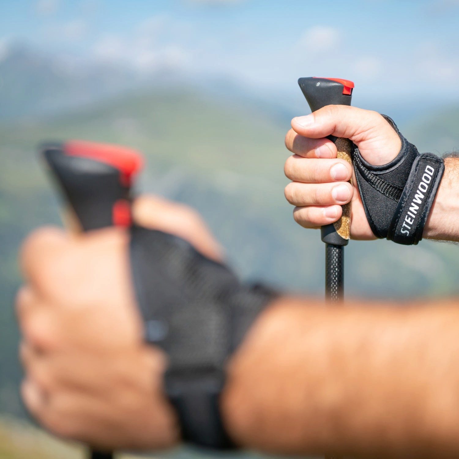 Steinwood Nordic-Walking-Stöcke 100% Carbon verstellbar mit Teleskop und Klemmverschluss mit extra Gu…