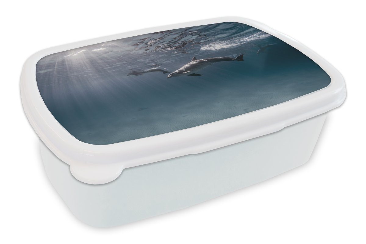 MuchoWow Lunchbox Delfin - Sonne - Meer, Kunststoff, (2-tlg), Brotbox für Kinder und Erwachsene, Brotdose, für Jungs und Mädchen weiß