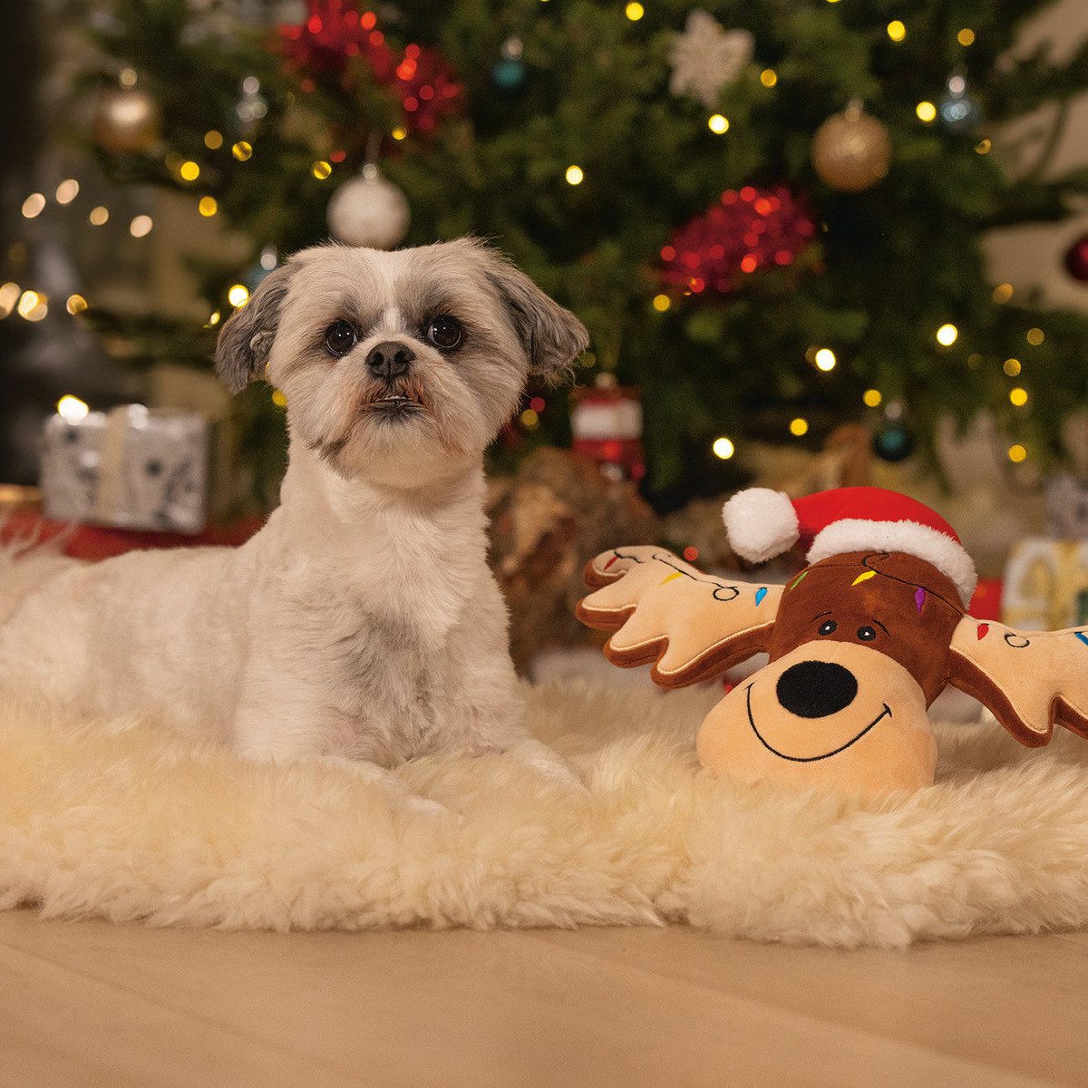 Beeztees Tierkuscheltier Hundespielzeug Weihnachtskuscheltier Rudolph aus P günstig online kaufen