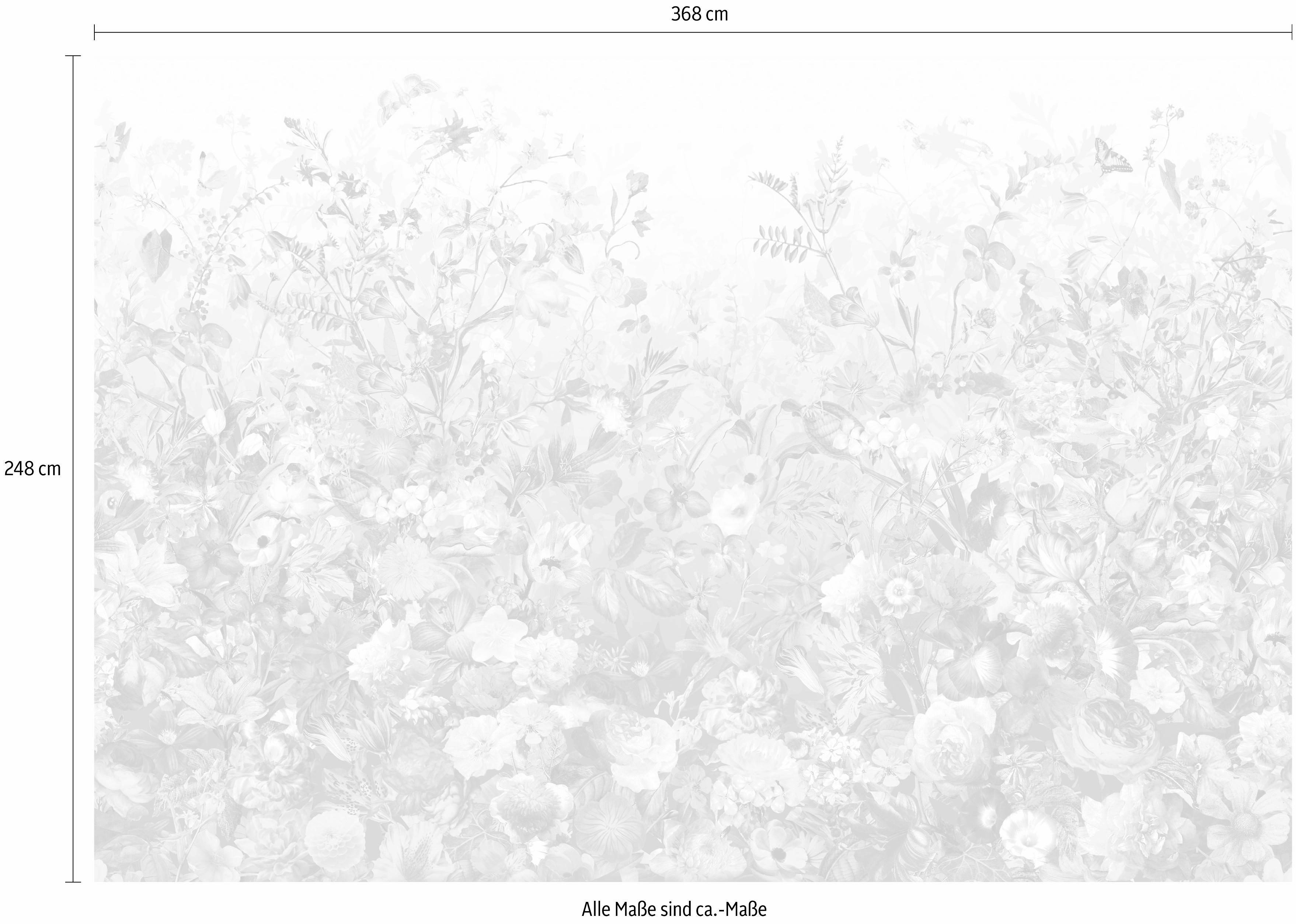 (Breite Vliestapete x inklusive Höhe), Botanica, Kleister Komar 368x248 cm