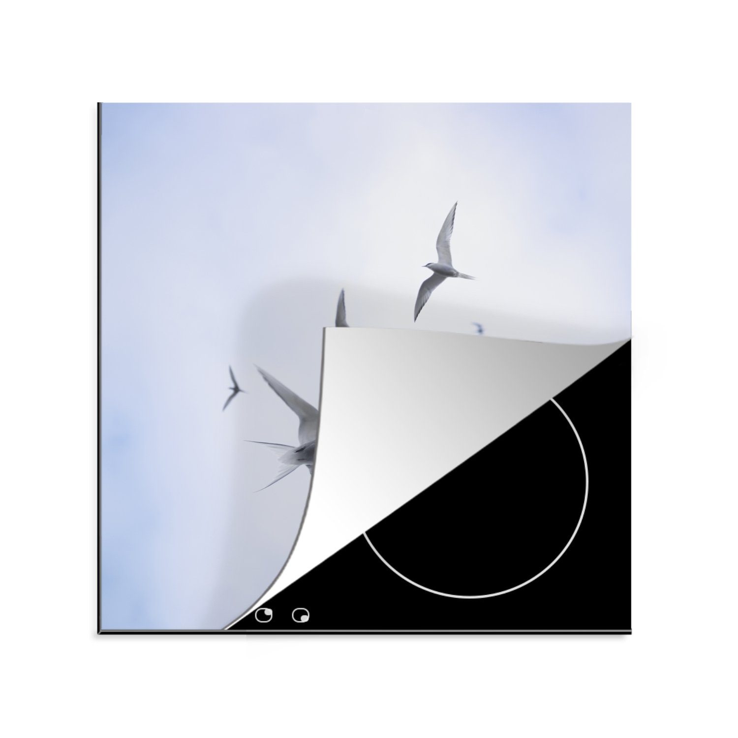 MuchoWow Herdblende-/Abdeckplatte Küstenseeschwalben fliegen bei bewölktem Himmel, Vinyl, (1 tlg), 78x78 cm, Ceranfeldabdeckung, Arbeitsplatte für küche