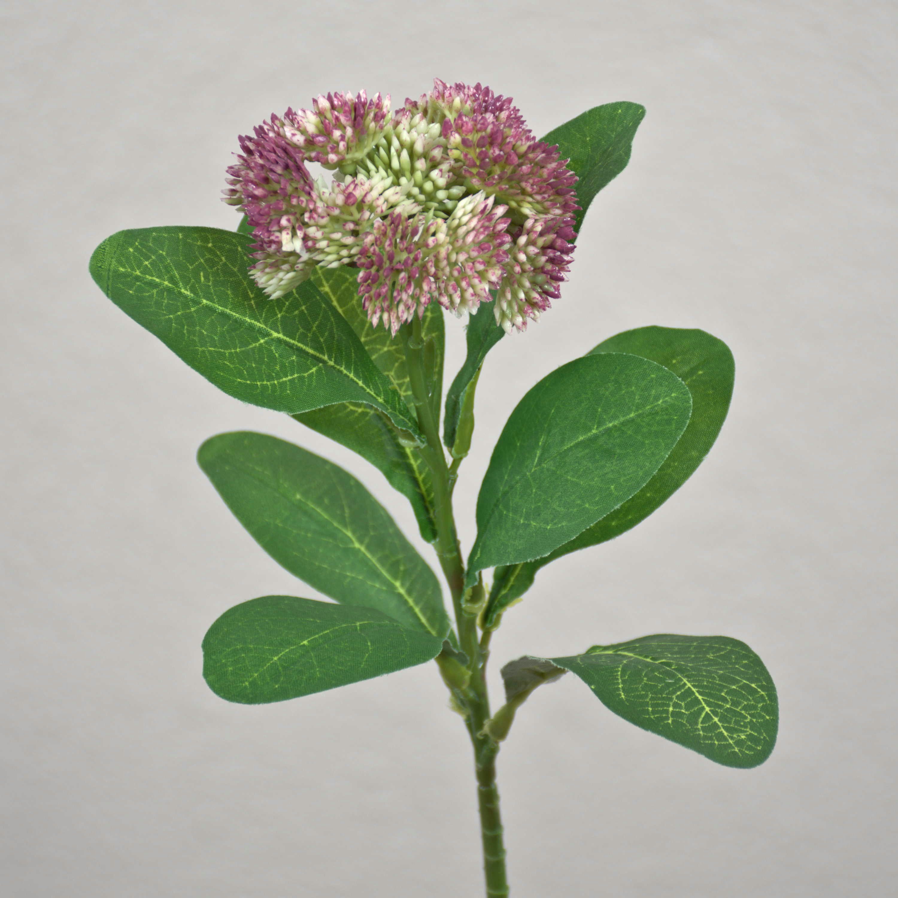 Kunstblume Sedum telephium Blüte EILIDH, rosa-Creme, 30cm Sedum (Sedum telephium), artplants, Höhe 30.0 cm