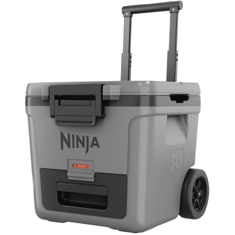 NINJA Kühlbox FrostVault FB230 34 L - Kühlbox - grau