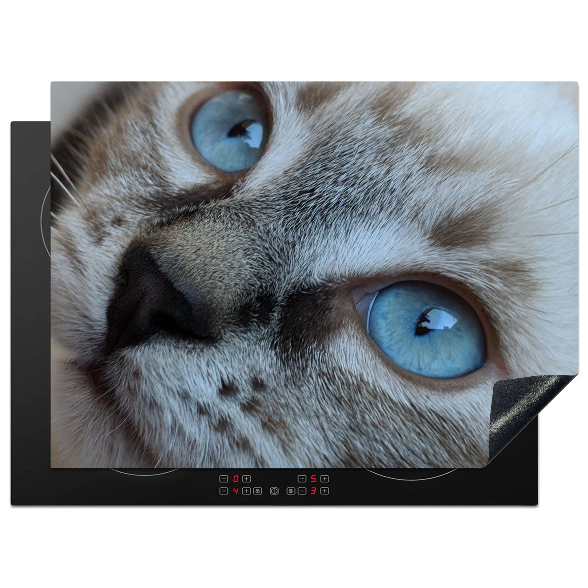 MuchoWow Herdblende-/Abdeckplatte Nahaufnahme der Augen der Siamkatze, Vinyl, (1 tlg), 70x52 cm, Mobile Arbeitsfläche nutzbar, Ceranfeldabdeckung
